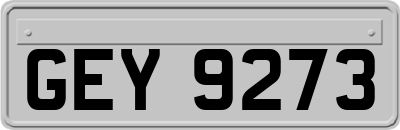 GEY9273