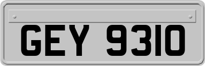 GEY9310