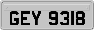 GEY9318