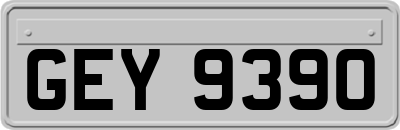 GEY9390