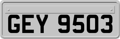 GEY9503