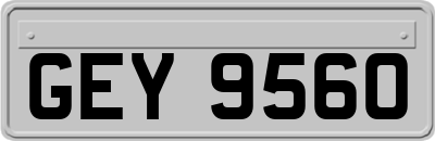 GEY9560