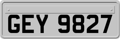 GEY9827