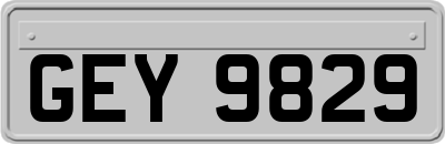 GEY9829