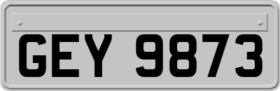 GEY9873