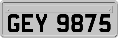 GEY9875