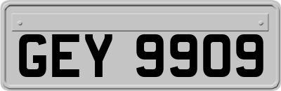 GEY9909