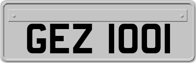 GEZ1001