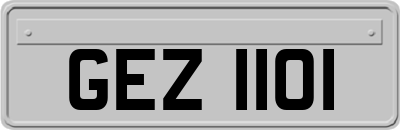 GEZ1101