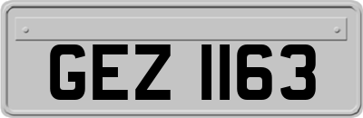 GEZ1163