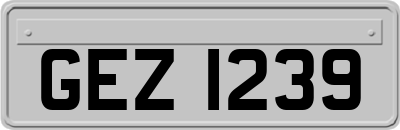 GEZ1239