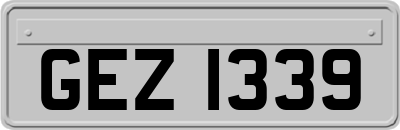 GEZ1339