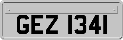 GEZ1341