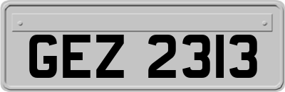 GEZ2313