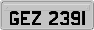 GEZ2391