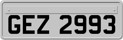 GEZ2993