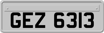 GEZ6313