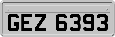 GEZ6393