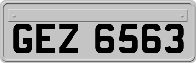 GEZ6563