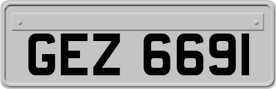 GEZ6691