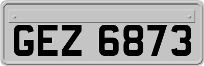 GEZ6873