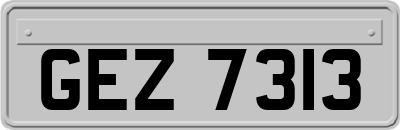 GEZ7313