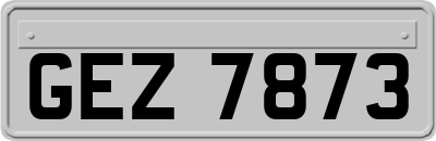 GEZ7873