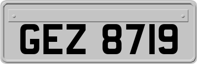 GEZ8719