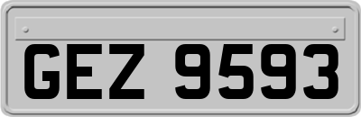 GEZ9593