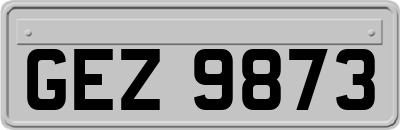 GEZ9873