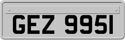 GEZ9951