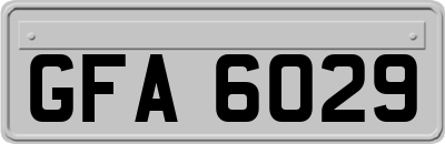 GFA6029
