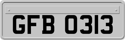 GFB0313