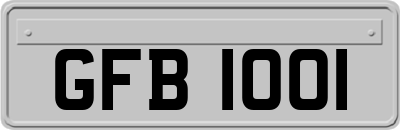 GFB1001