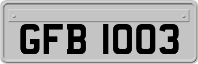 GFB1003