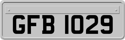 GFB1029