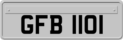 GFB1101