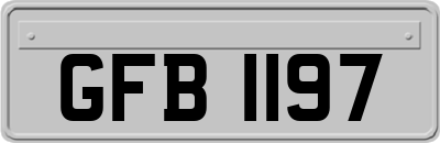 GFB1197