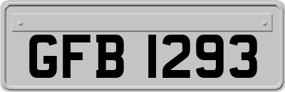 GFB1293