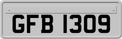 GFB1309