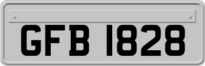 GFB1828