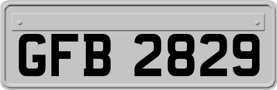 GFB2829