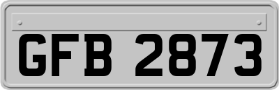 GFB2873