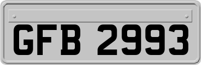 GFB2993