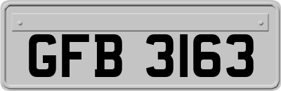 GFB3163