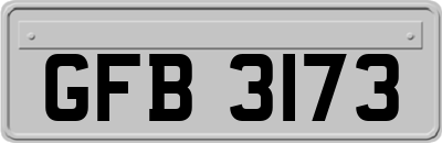 GFB3173