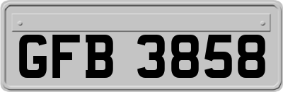 GFB3858