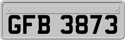 GFB3873