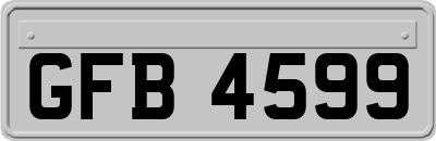 GFB4599