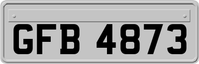 GFB4873